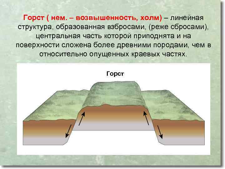 Горст ( нем. – возвышенность, холм) – линейная структура, образованная взбросами, (реже сбросами), центральная