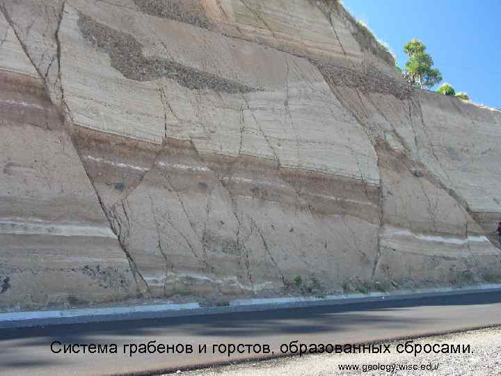 Система грабенов и горстов, образованных сбросами. www. geology. wisc. edu/ 