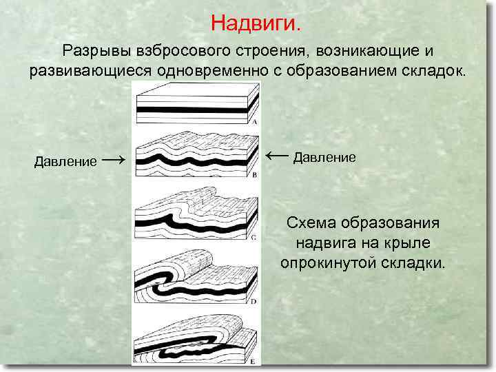 Надвиги. Разрывы взбросового строения, возникающие и развивающиеся одновременно с образованием складок. Давление → ←