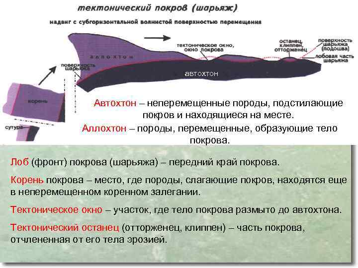 автохтон Автохтон – неперемещенные породы, подстилающие покров и находящиеся на месте. Аллохтон – породы,