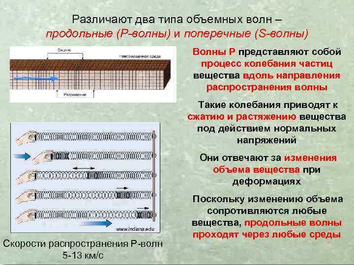 Различают два типа объемных волн – продольные (Р-волны) и поперечные (S-волны) Волны Р представляют