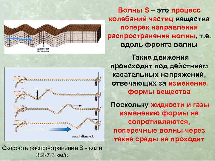 Волны S – это процесс колебаний частиц вещества поперек направления распространения волны, т. е.