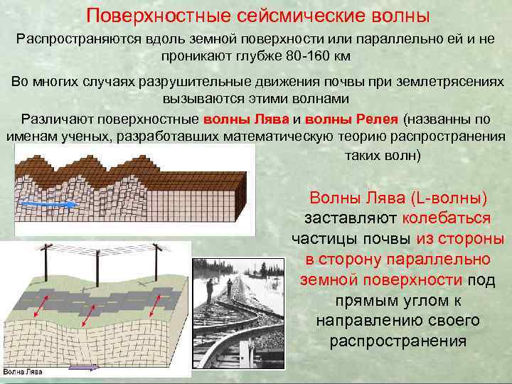 Поверхностные сейсмические волны Распространяются вдоль земной поверхности или параллельно ей и не проникают глубже