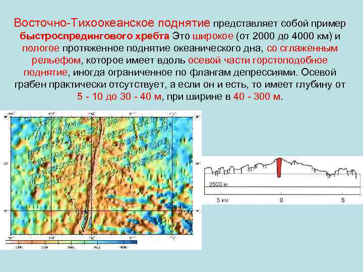 Восточно-Тихоокеанское поднятие представляет собой пример быстроспредингового хребта Это широкое (от 2000 до 4000 км)