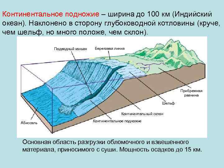 Континентальное подножие – ширина до 100 км (Индийский океан). Наклонено в сторону глубоководной котловины