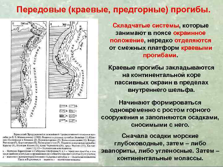 Передовые (краевые, предгорные) прогибы. Складчатые системы, которые занимают в поясе окраинное положение, нередко отделяются