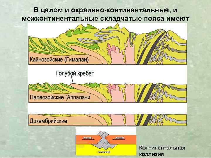 В целом и окраинно-континентальные, и межконтинентальные складчатые пояса имеют веерообразное (дивергентное) строение Континентальная коллизия