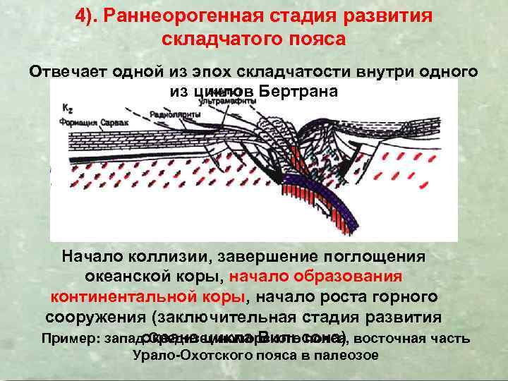 4). Раннеорогенная стадия развития складчатого пояса Отвечает одной из эпох складчатости внутри одного из