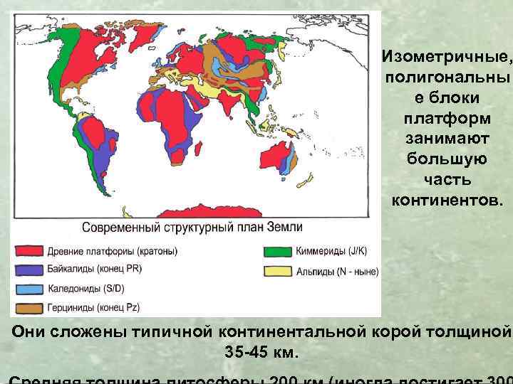 Изометричные, полигональны е блоки платформ занимают большую часть континентов. Они сложены типичной континентальной корой