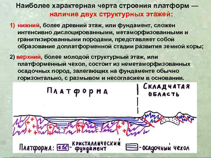 Молодая платформа строение