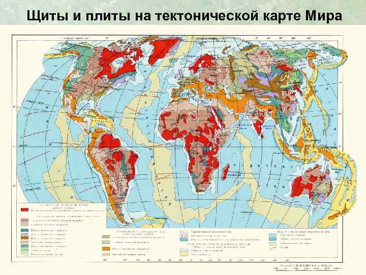 Щиты и плиты на тектонической карте Мира 