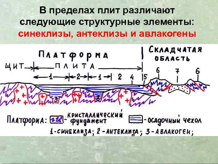 В пределах плит различают следующие структурные элементы: синеклизы, антеклизы и авлакогены 