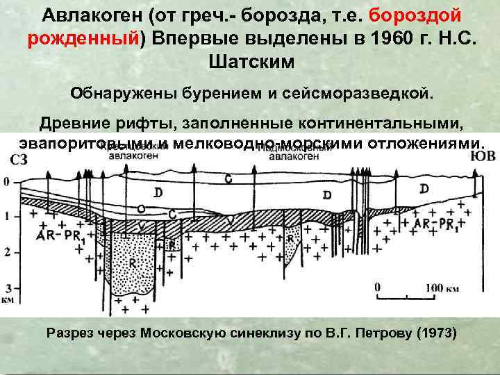 Авлакоген (от греч. - борозда, т. е. бороздой рожденный) Впервые выделены в 1960 г.