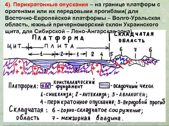 4). Перикратонные опускания – на границе платформ с орогенами или их передовыми прогибами( для