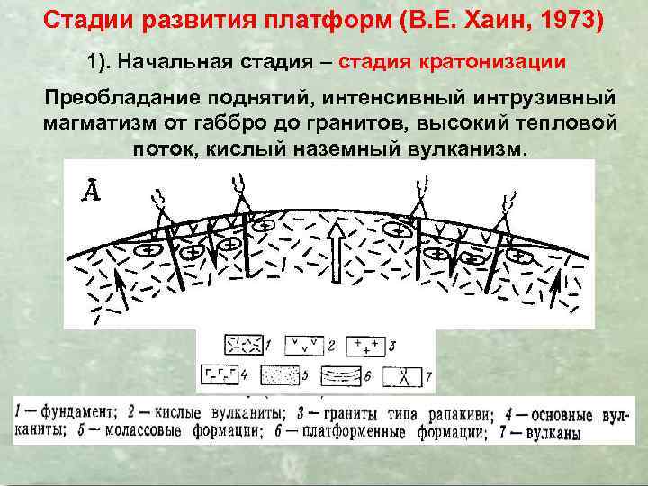 Стадии развития платформ (В. Е. Хаин, 1973) 1). Начальная стадия – стадия кратонизации Преобладание