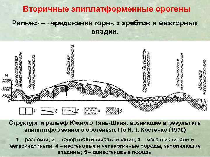 Вторичные эпиплатформенные орогены Рельеф – чередование горных хребтов и межгорных впадин. В поперечном сечении