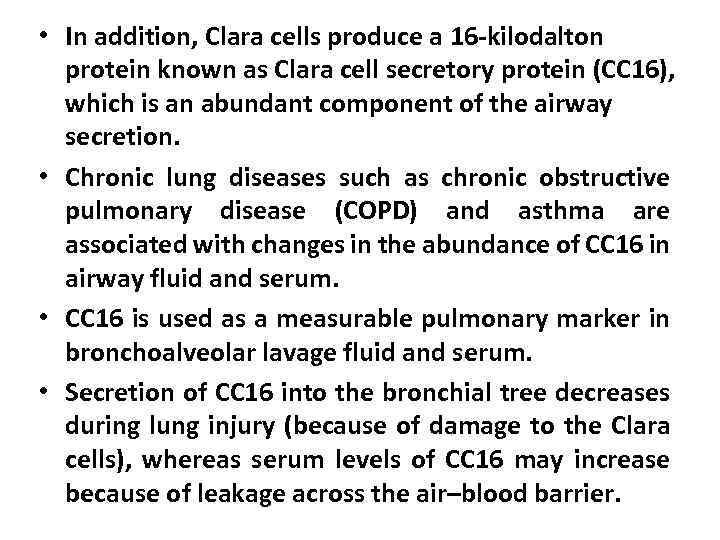  • In addition, Clara cells produce a 16 -kilodalton protein known as Clara