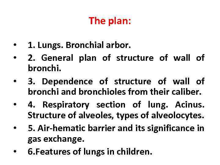 The plan: • • • 1. Lungs. Bronchial arbor. 2. General plan of structure