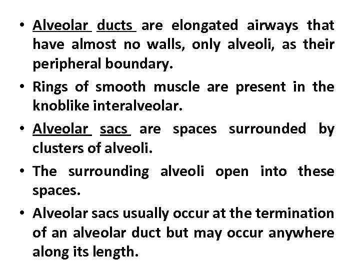  • Alveolar ducts are elongated airways that have almost no walls, only alveoli,