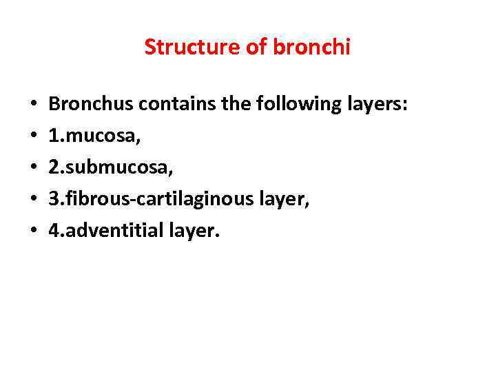 Structure of bronchi • • • Bronchus contains the following layers: 1. mucosa, 2.