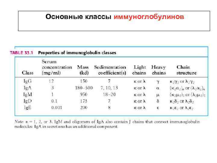 Основные классы иммуноглобулинов 