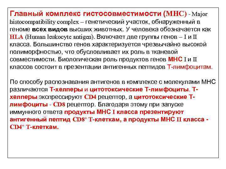 Главный комплекс гистосовместимости (MHC) - Major histocompatibility complex – генетический участок, обнаруженный в геноме