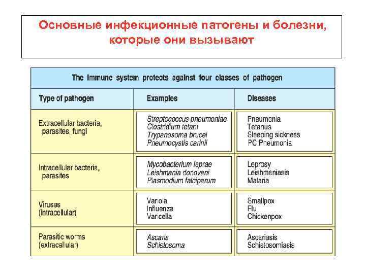 Основные инфекционные патогены и болезни, которые они вызывают 