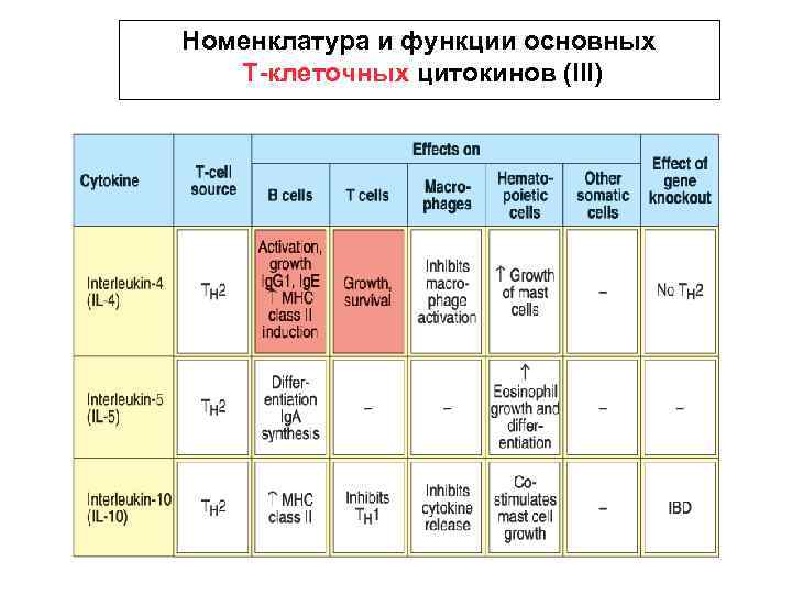 Номенклатура и функции основных Т-клеточных цитокинов (III) 