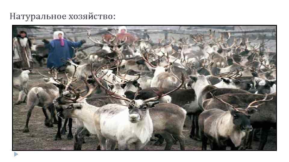 Натуральное хозяйство: 