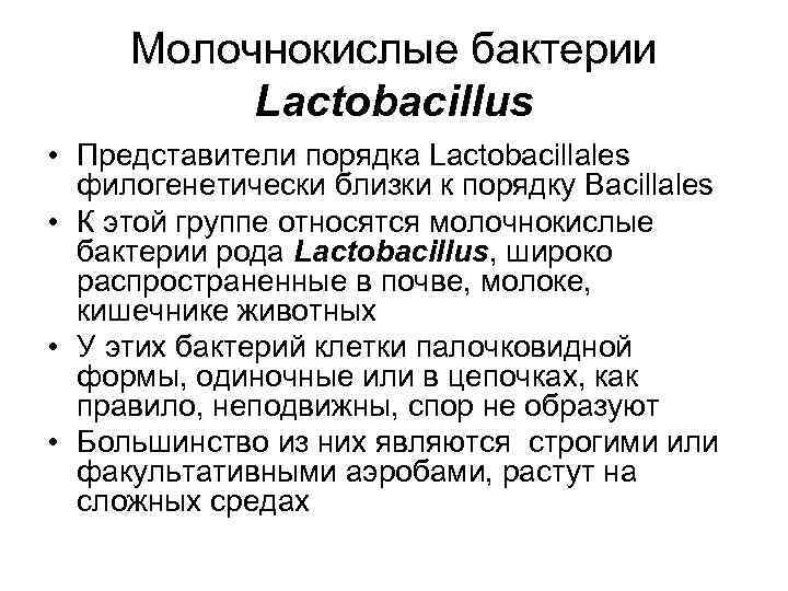 Молочнокислые бактерии Lactobacillus • Представители порядка Lactobacillales филогенетически близки к порядку Bacillales • К
