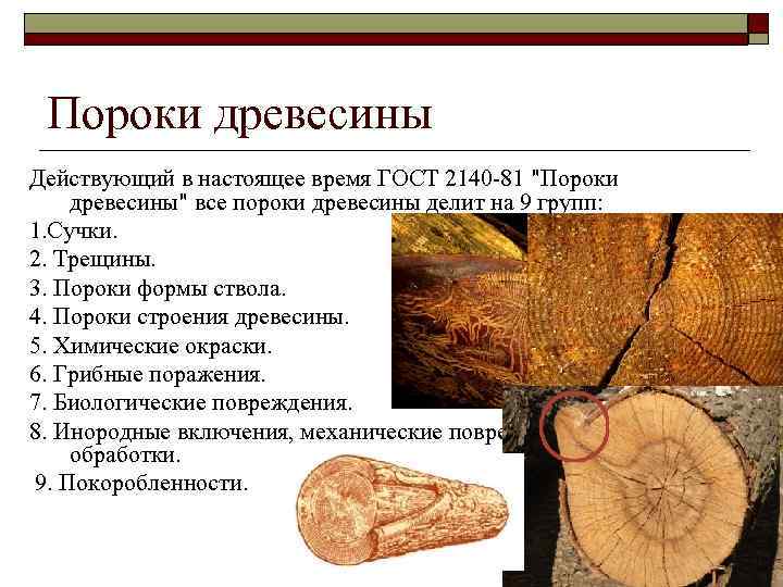 Пороки древесины Действующий в настоящее время ГОСТ 2140 -81 