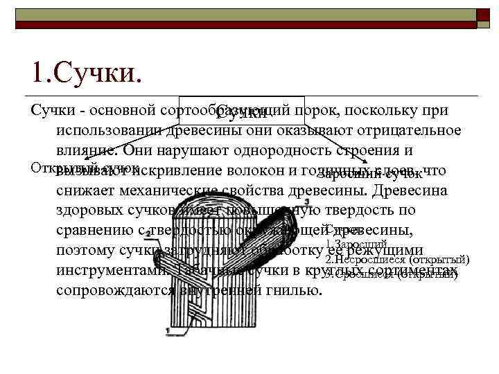 1. Cучки. Сучки - основной сортообразующий порок, поскольку при Сучки использовании древесины они оказывают