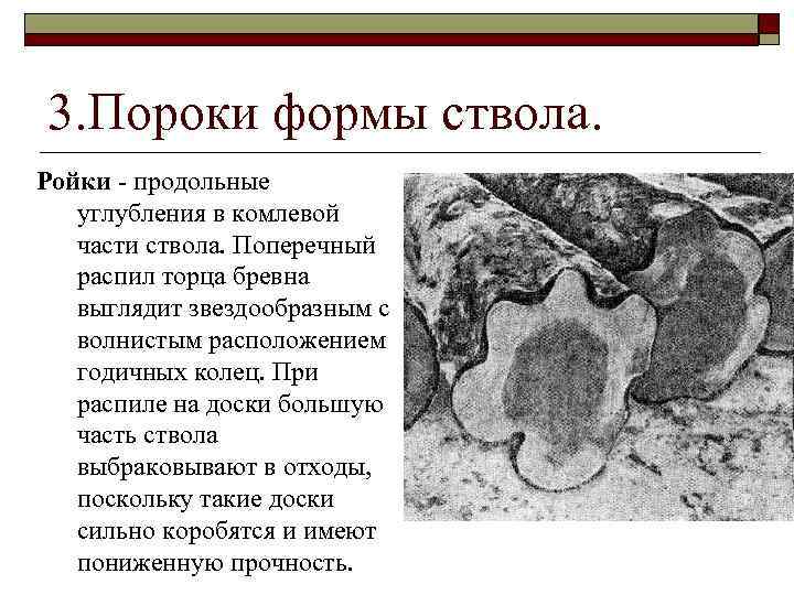 3. Пороки формы ствола. Ройки - продольные углубления в комлевой части ствола. Поперечный распил