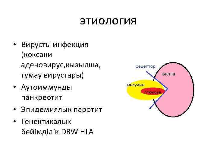 этиология • Вирусты инфекция (коксаки аденовирус, кызылша, тумау вирустары) • Аутоиммунды панкреотит • Эпидемиялык