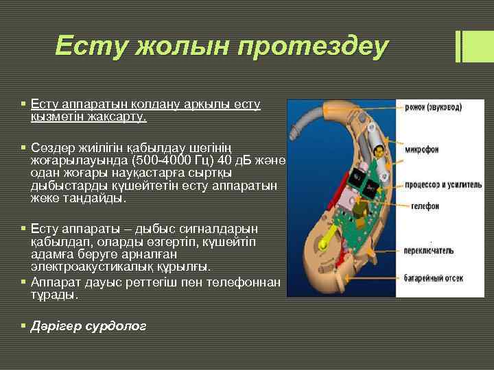 Есту жолын протездеу § Есту аппаратын қолдану арқылы есту қызметін жақсарту. § Сөздер жиілігін