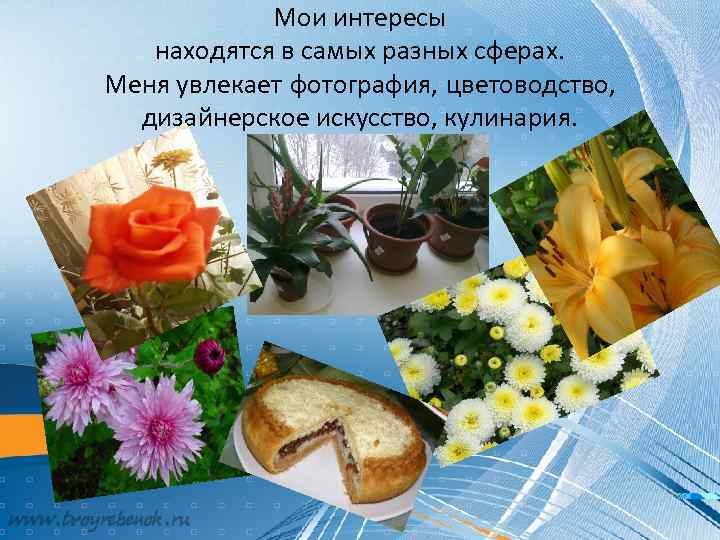 Мои интересы находятся в самых разных сферах. Меня увлекает фотография, цветоводство, дизайнерское искусство, кулинария.