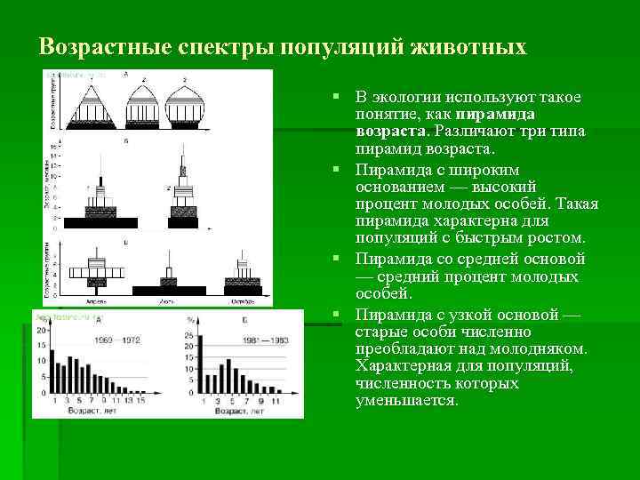 Сравните данные двух диаграмм какие изменения произошли в возрастном составе популяций дуба