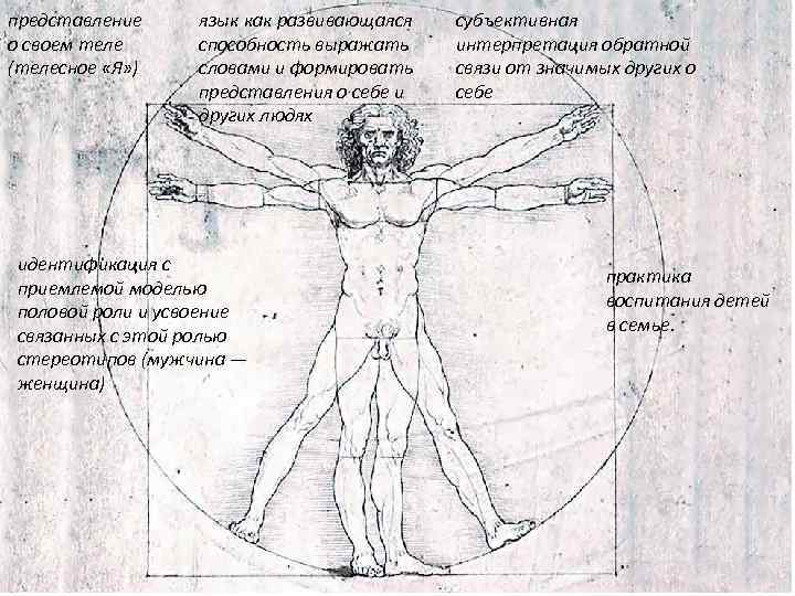 представление о своем теле (телесное «Я» ) язык как развивающаяся способность выражать словами и