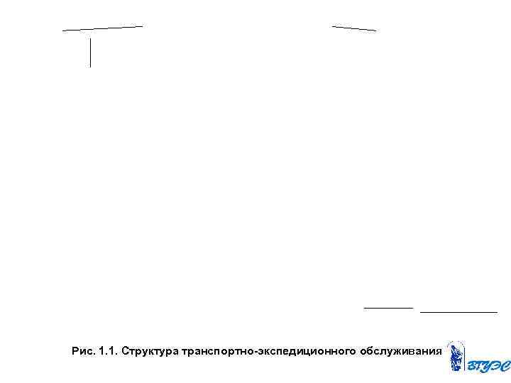 Рис. 1. 1. Структура транспортно экспедиционного обслуживания 