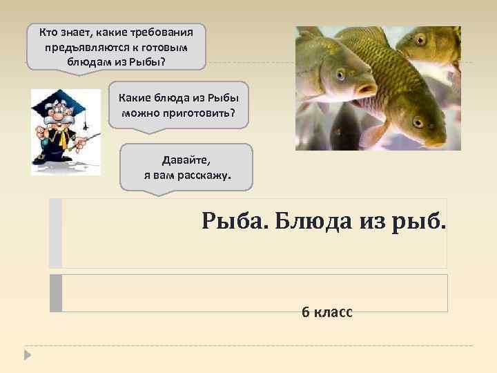 Кто знает, какие требования предъявляются к готовым блюдам из Рыбы? Какие блюда из Рыбы