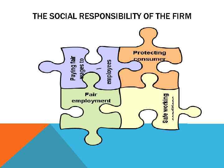 THE SOCIAL RESPONSIBILITY OF THE FIRM 