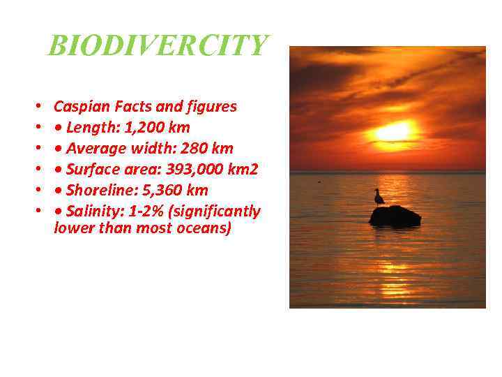 BIODIVERCITY • • • Caspian Facts and figures • Length: 1, 200 km •