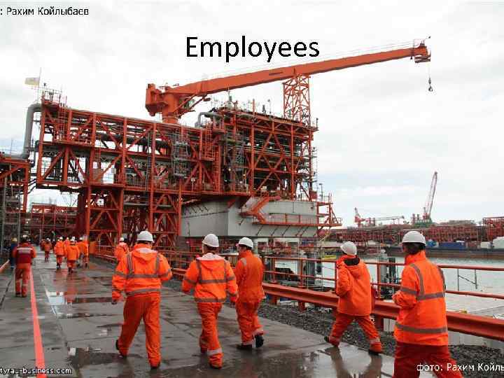 Employees 