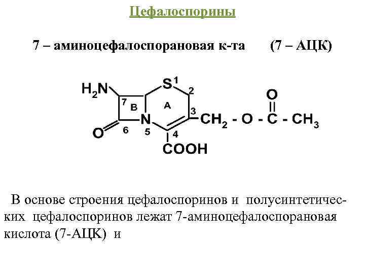 Цефалоспорины 7 – аминоцефалоспорановая к-та (7 – АЦК) В основе строения цефалоспоринов и полусинтетичес