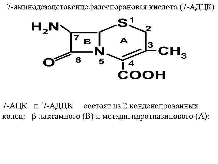 7 аминодезацетоксицефалоспорановая кислота (7 АДЦК) 7 АЦК и 7 АДЦК состоят из 2 конденсированных