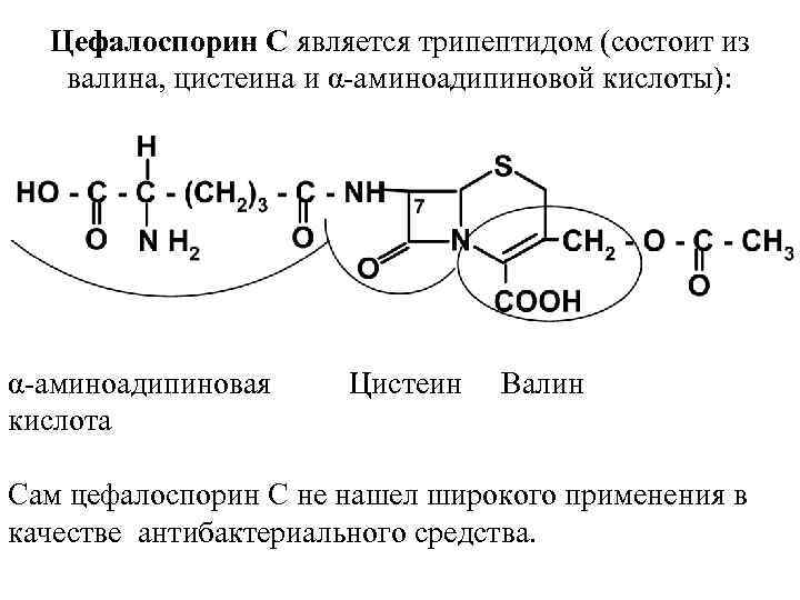 Цефалоспорин С является трипептидом (состоит из валина, цистеина и α аминоадипиновой кислоты): α аминоадипиновая