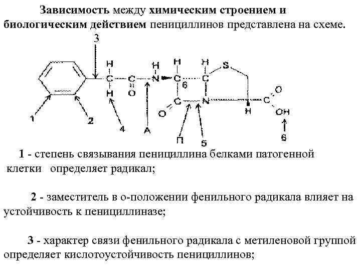  Зависимость между химическим строением и биологическим действием пенициллинов представлена на схеме. 3 1