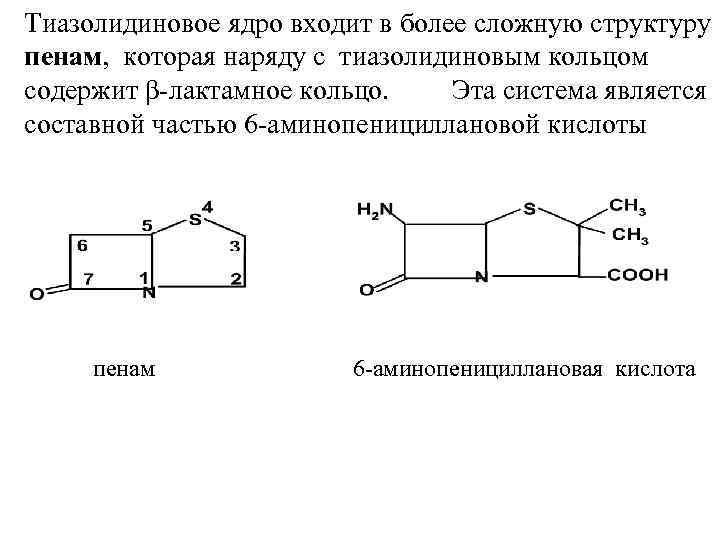 Тиазолидиновое ядро входит в более сложную структуру пенам, которая наряду с тиазолидиновым кольцом содержит