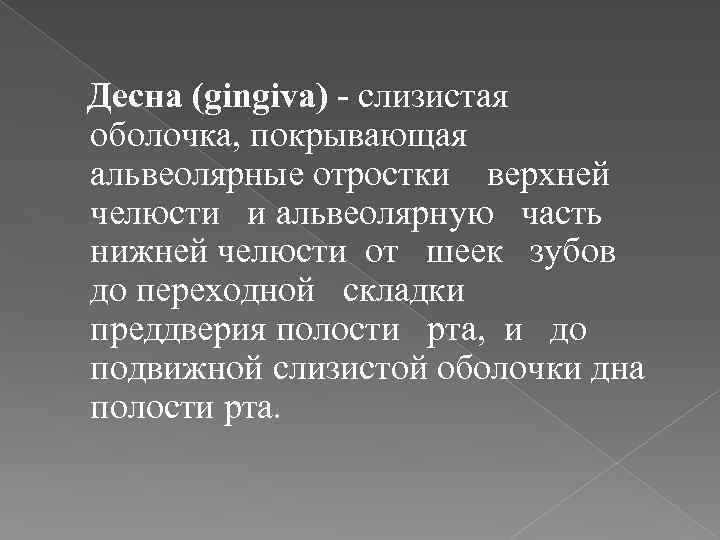  Десна (gingiva) - слизистая оболочка, покрывающая альвеолярные отростки верхней челюсти и альвеолярную часть