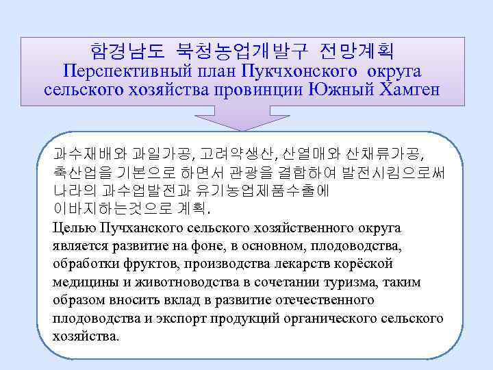 함경남도 북청농업개발구 전망계획 Перспективный план Пукчхонского округа сельского хозяйства провинции Южный Хамген 과수재배와 과일가공,